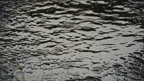 Raindrops calming splashing impact on texture surface puddle SLOW MO Stock Footage 314631971