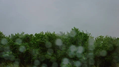Raindrops on the car window. Stock Footage 100547799