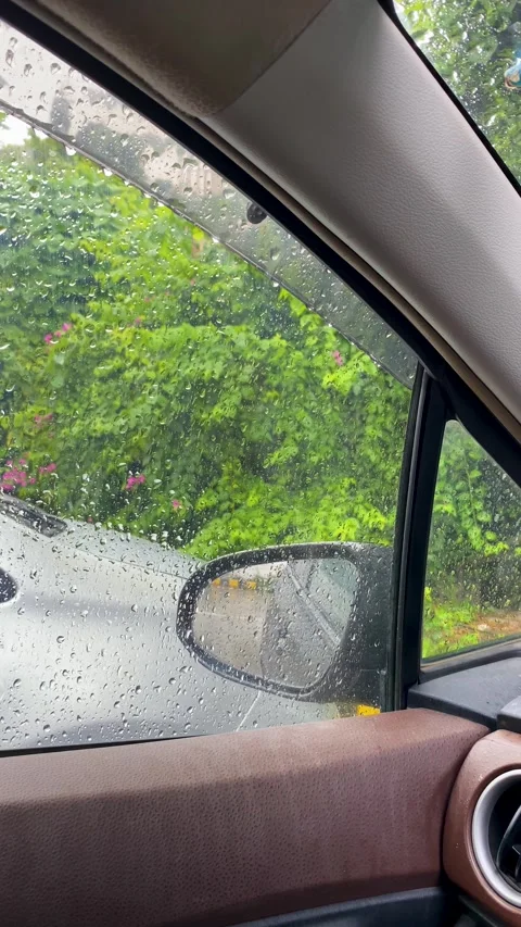 Raindrops on Car Window with Lush Green Foliage Stock Footage 331895905