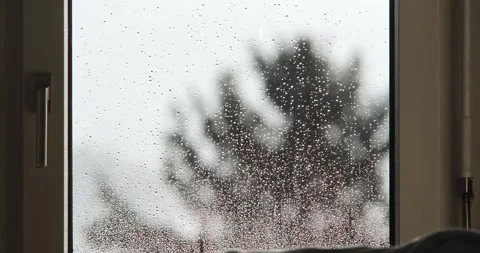 Raindrops clinging to window glass during rainy storm with tree in background Stock Footage 340318370
