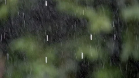 Raindrops close up with blur greenish background Stock Footage 126044826