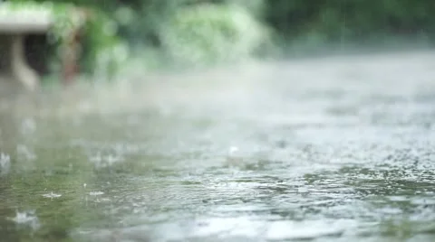 Raindrops, close-up, camera slide. 스톡 동영상 53544718