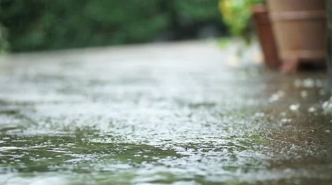 Raindrops close up Vídeos de archivo 53525981