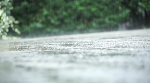 Raindrops close up 스톡 동영상 53544675