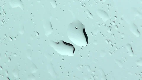 Raindrops in close up Stock Footage 79904728