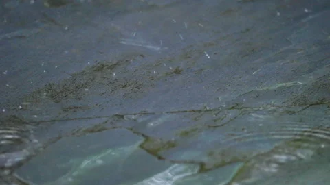Raindrops close up Stock Footage 221585594