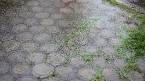 Raindrops on the conblock yard of the house Stock Footage 229078132