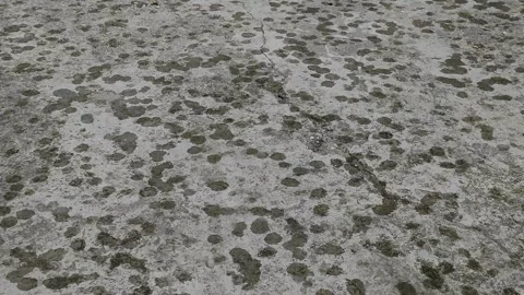 Raindrops on concrete Video stock 291875871