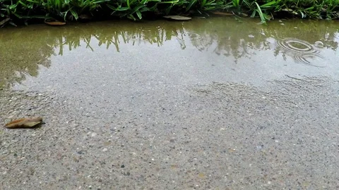 Raindrops on the concrete sidewalk 02 4k slow Stock Footage 77656677
