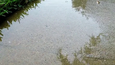 Raindrops on the concrete sidewalk 1080 slow Stock Footage 77656629