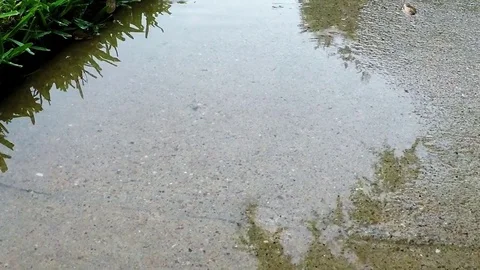 Raindrops on the concrete sidewalk 4k slow Stock Footage 77656751