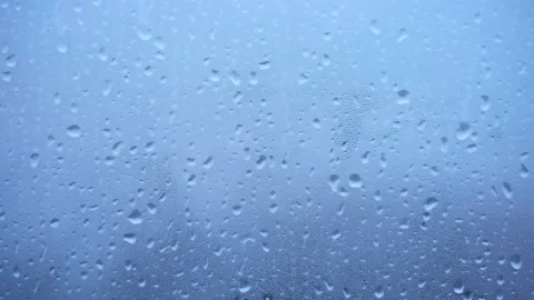 Raindrops Condensation Close-up 動画素材 220569777