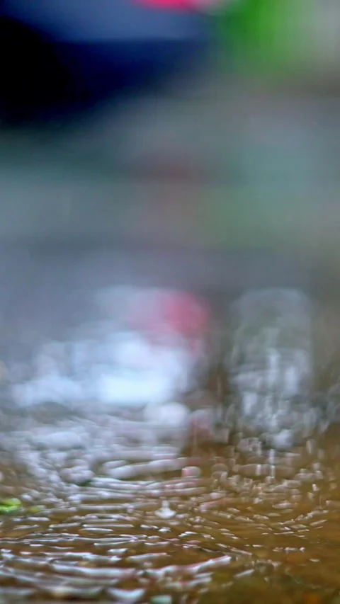 Raindrops create gentle ripples on a serene water surface, evoking calm and Stock Footage 313630958