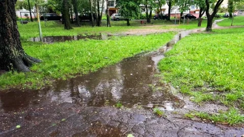 Raindrops create intricate ripples in puddles formed on wet ground of Video stock 347579943