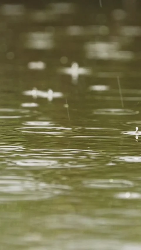 Raindrops Create Patterns on a Calm Pond Surface Stock Footage 335197680