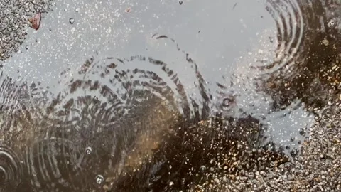 Raindrops create ripples on a puddle's surface Stock Footage 308582935