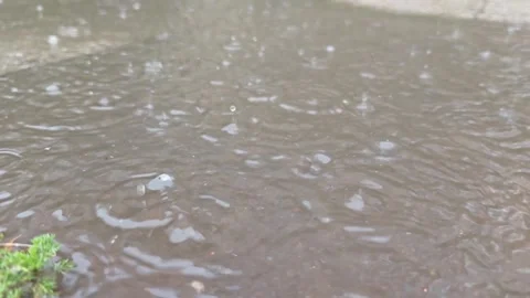 Raindrops create ripples on the surface of a puddle, with grass and concrete Stock Footage 338130548