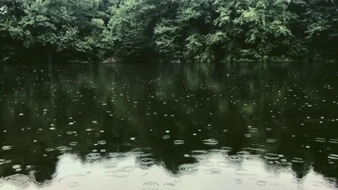 Raindrops create ripples on the water surface Stock Footage 336435434