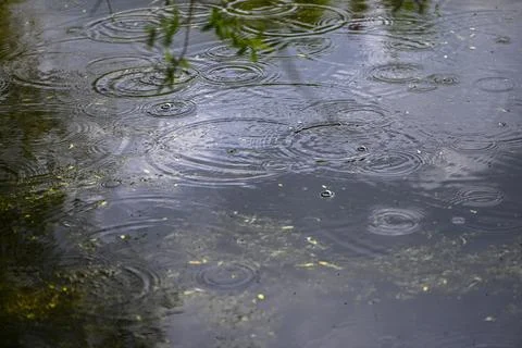 Raindrops Creating Circular Ripples On Dark Water Stock Photos