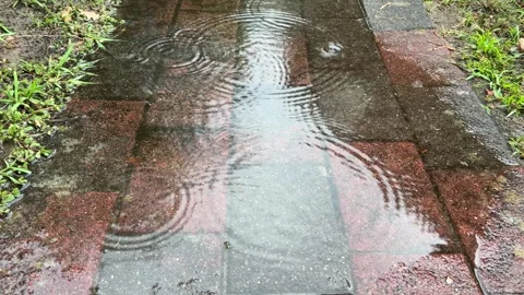 Raindrops Creating Circular Ripples in Puddle on Wet Pavement Stock Footage 340214145