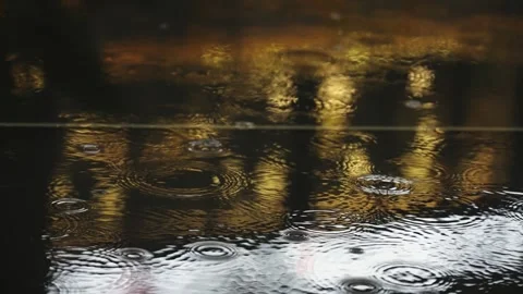 Raindrops Creating Ripples in Dark Puddle with Golden Reflections Video stock 341948350