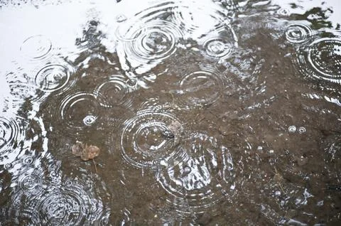Raindrops Creating Ripples in a Puddle Stock Photos