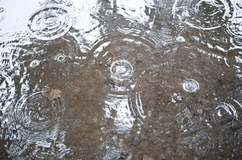 Raindrops Creating Ripples in a Puddle Stock Photos