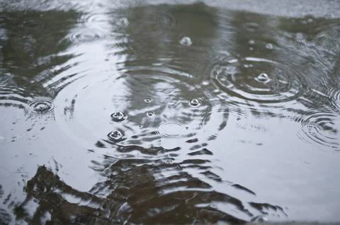 Raindrops Creating Ripples in a Puddle Stock Photos