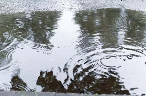Raindrops Creating Ripples in a Puddle Stock Photos