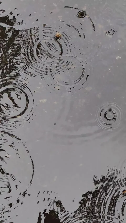 Raindrops creating ripples in puddle. vertical. Stock Footage 333286338
