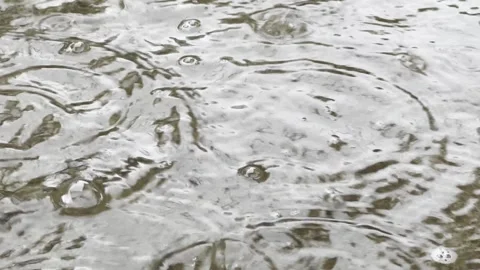 Raindrops Creating Ripples on Water Surface in Slow Motion Stock Footage 336617182