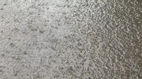 Raindrops Creating Ripples on Water Surface During Monsoon Rain 스톡 동영상 339264683