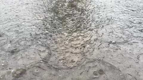 Raindrops Creating Ripples on Water Surface During Heavy Rainfall Video stock 339264695