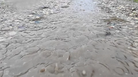 Raindrops creating ripples on wet asphalt surface Stock Footage 320827206