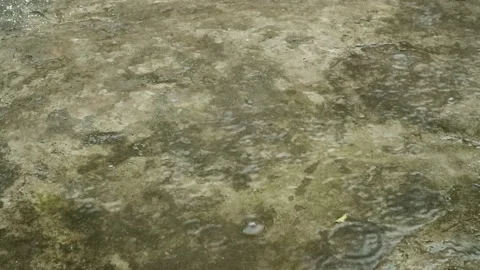 Raindrops Creating Ripples on Wet Concrete Stock Footage 306439740
