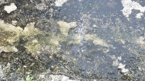 Raindrops on the damaged concrete floor 4K Stock Footage 153453006
