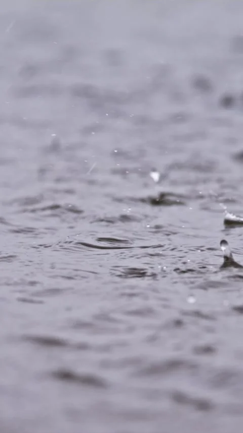 Raindrops Dance on a Rippling Water Surface in Soft Light Stock Footage 335197866