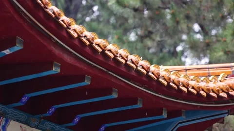 Raindrops drip from the eaves Stock-Footage 344705835