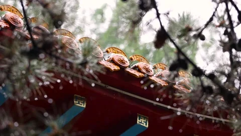 Raindrops drip from the eaves Vídeo Stock 344705935