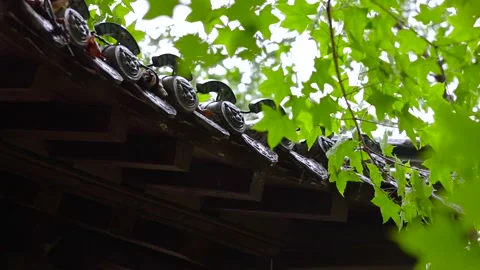 Raindrops drip from the eaves Vídeo Stock 344705955