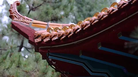 Raindrops drip from the eaves Vídeo Stock 344705956