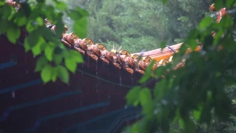 Raindrops drip from the eaves Vídeo Stock 344706047