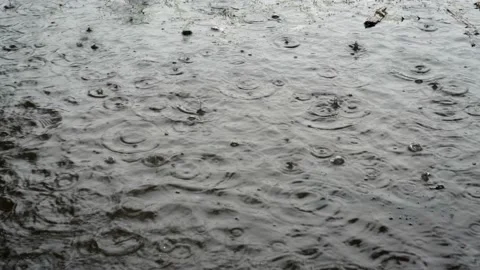Raindrops drip into a large puddle. Bubbles appear on the surface of the water.  Stock Footage 116473831