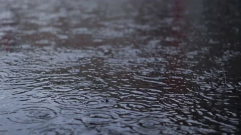 Raindrops drip into a puddle Stock Footage 157022956