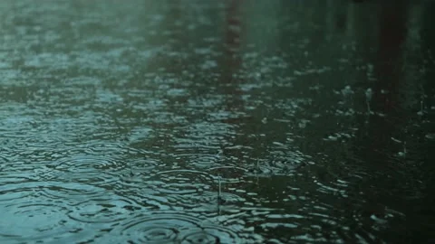 Raindrops drip into a puddle Stock Footage 157022958