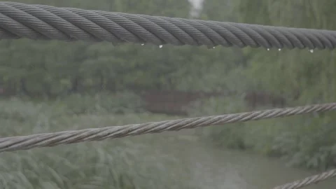 Raindrops dripped from the iron chains of the small bridge over the wetlands. Stock Footage 336630063