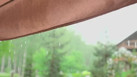 Raindrops dripping from the canopy, slow motion video Video stock 328299205