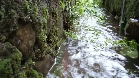 Raindrops dripping down a drain Stock Footage 221990739