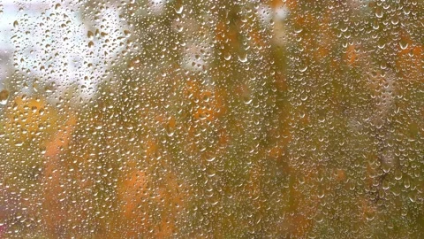 Raindrops dripping down the glass. Close-up. Stock Footage 236254280