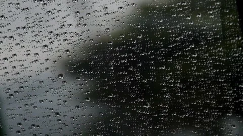 Raindrops dripping on the glass Stock Footage 291529645